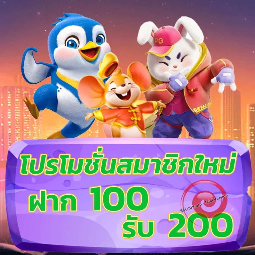 mader-bet เว็บสุดฮิต